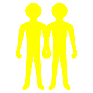       (Twins) -   48 .