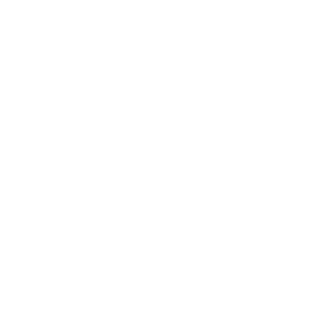       (Twins) -   48 .