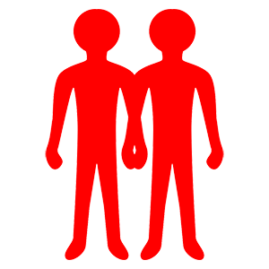   (Twins)