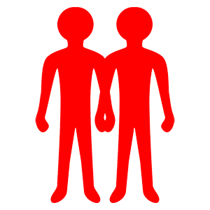       (Twins) -   48 .