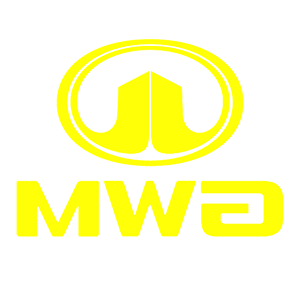      GWM Motors (Great Wall Motors) -   24 .
