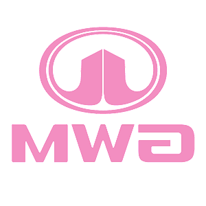      GWM Motors (Great Wall Motors) -   24 .