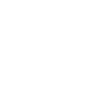      GWM Motors (Great Wall Motors) -   24 .