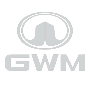  GWM Motors (Great Wall Motors)