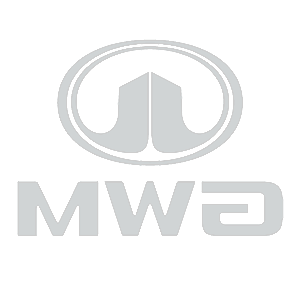      GWM Motors (Great Wall Motors) -   24 .