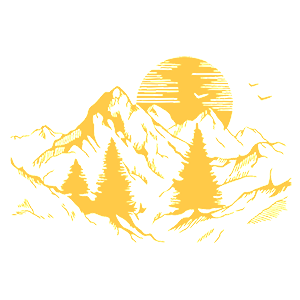        -   245 .