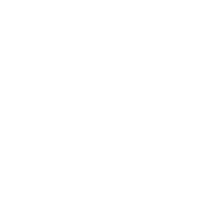         -   161 .