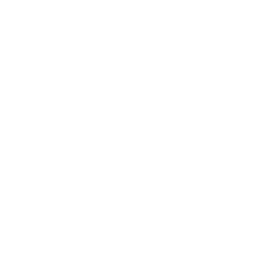  DUSTER ()