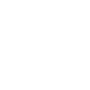      AITO -   22 .