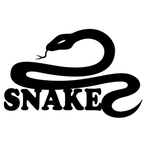  Snake