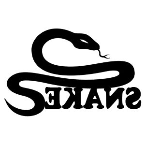      Snake -   107 .