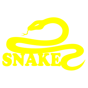  Snake