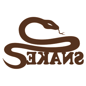      Snake -   107 .