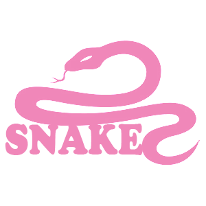  Snake