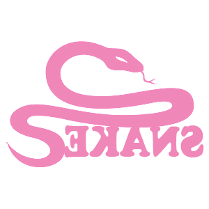      Snake -   107 .