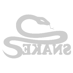    -  Snake -   107 .