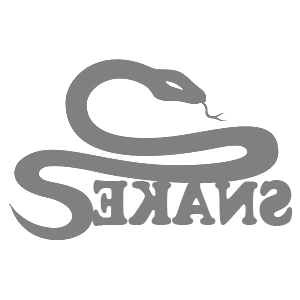      Snake -   107 .