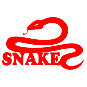  Snake