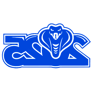        2025 -   82 .