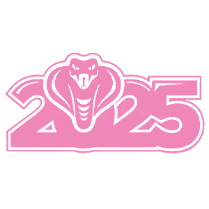    2025