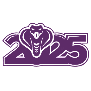     2025 -   82 .