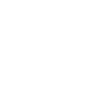        2025 -   82 .