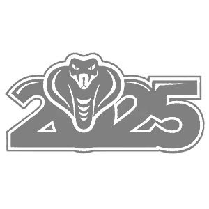    2025