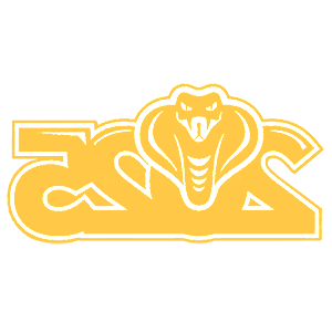        2025 -   82 .
