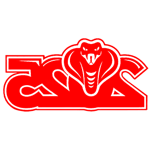        2025 -   82 .