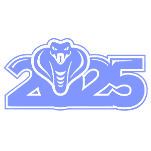     2025 -   82 .