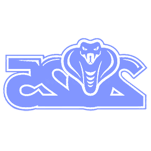        2025 -   82 .
