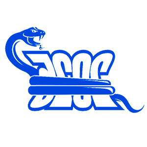      2025   -   99 .