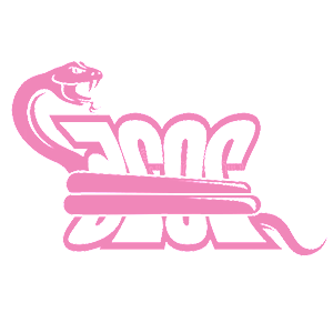      2025   -   99 .