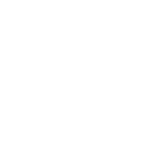      2025   -   99 .