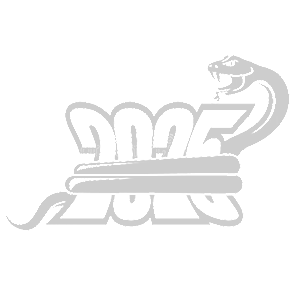  2025  