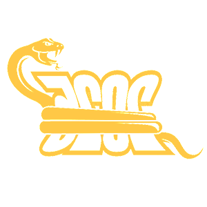      2025   -   99 .
