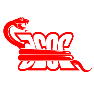      2025   -   99 .