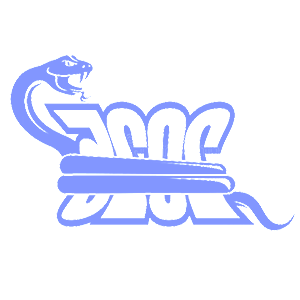      2025   -   99 .