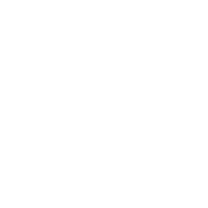  motorhead