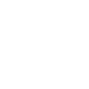       .  . -   141 .