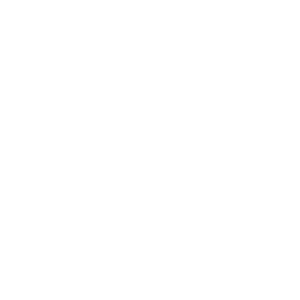      Made in Russia (  ) -   14 .