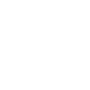       (Chelyabinsk) -   133 .
