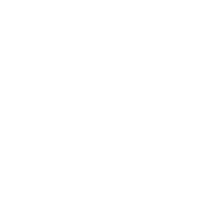          -   151 .