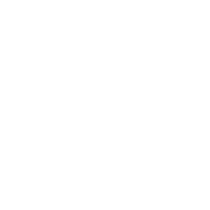   Umbrella Corporation -   133 .