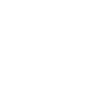      Umbrella Corporation -   133 .