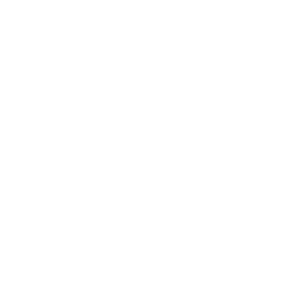      Toyota Prado -   50 .