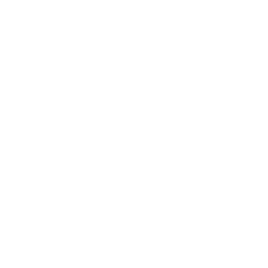  The Black Pearl
