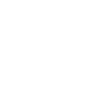     ! -   133 .