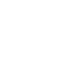        ! -   133 .