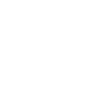 ����������� �� ����������� ����� �������� �Subaru Racing� - ������ �� 100 ���.